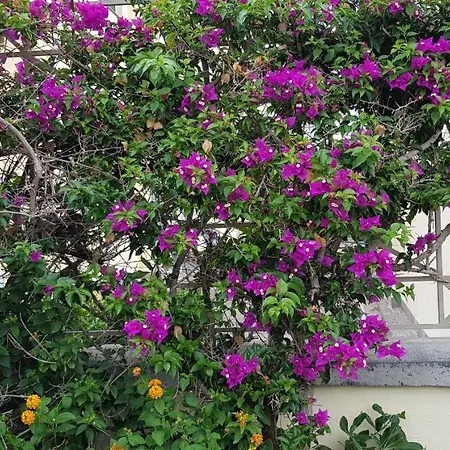 Atlantide Apartment Castellammare di Stabia